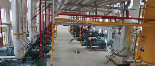 工冷匯紀(jì)實(shí) 東北某肉聯(lián)廠約克壓縮機(jī)組節(jié)能升級