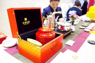 中國國際名酒文化節 酒茶融合 更宜賓