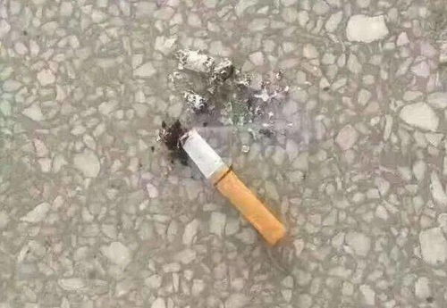 水產業務員看哭了 拒做 躺平青年 ,從他抽過的一支煙講起......