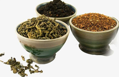金熊貓蘆筍茶加盟總部實力如何?培訓優勢有哪些?